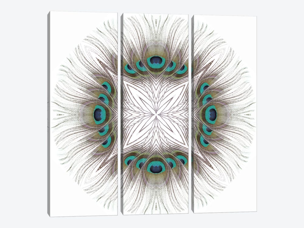 Peacock Feather Mandala by Alyson Fennell 3-piece Canvas Artwork