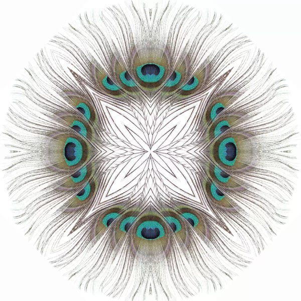 Mandalas: Peacock Feather Mandala by Alyson Fennell