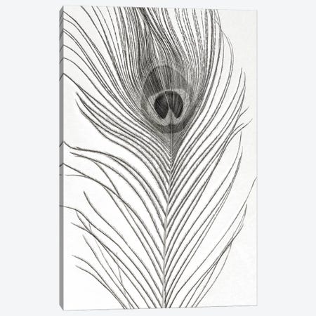 Peacock Feather Mono Canvas Print #FEN75} by Alyson Fennell Art Print