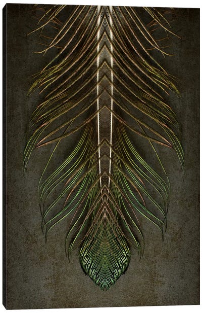 Peacock Feather Symmetry Archangel Canvas Art Print - Feather Art