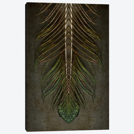 Peacock Feather Symmetry Archangel Canvas Print #FEN76} by Alyson Fennell Art Print