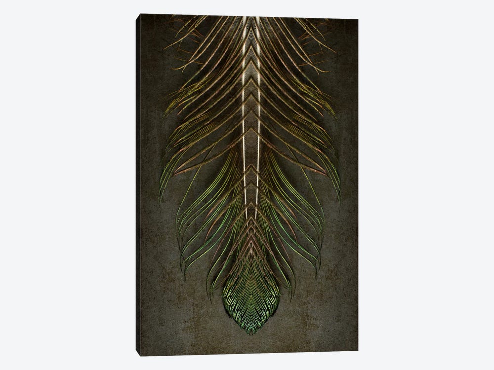 Peacock Feather Symmetry Archangel by Alyson Fennell 1-piece Canvas Art