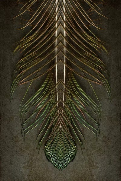 Feathers: Peacock Feather Symmetry Archangel by Alyson Fennell