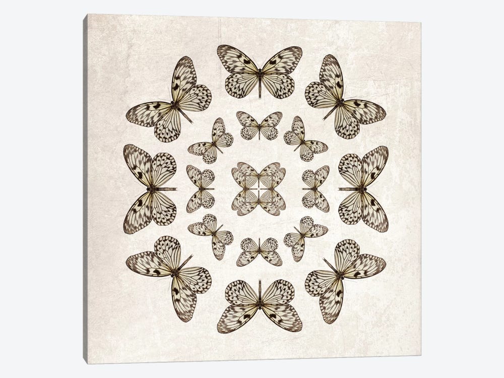 Rice Paper Butterfly Circles by Alyson Fennell 1-piece Canvas Print
