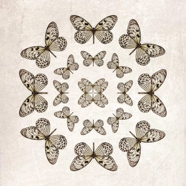 Rice Paper Butterfly Circles