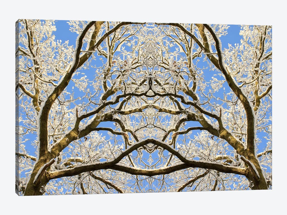 Snow Covered Tree Tops Symmetry by Alyson Fennell 1-piece Canvas Artwork