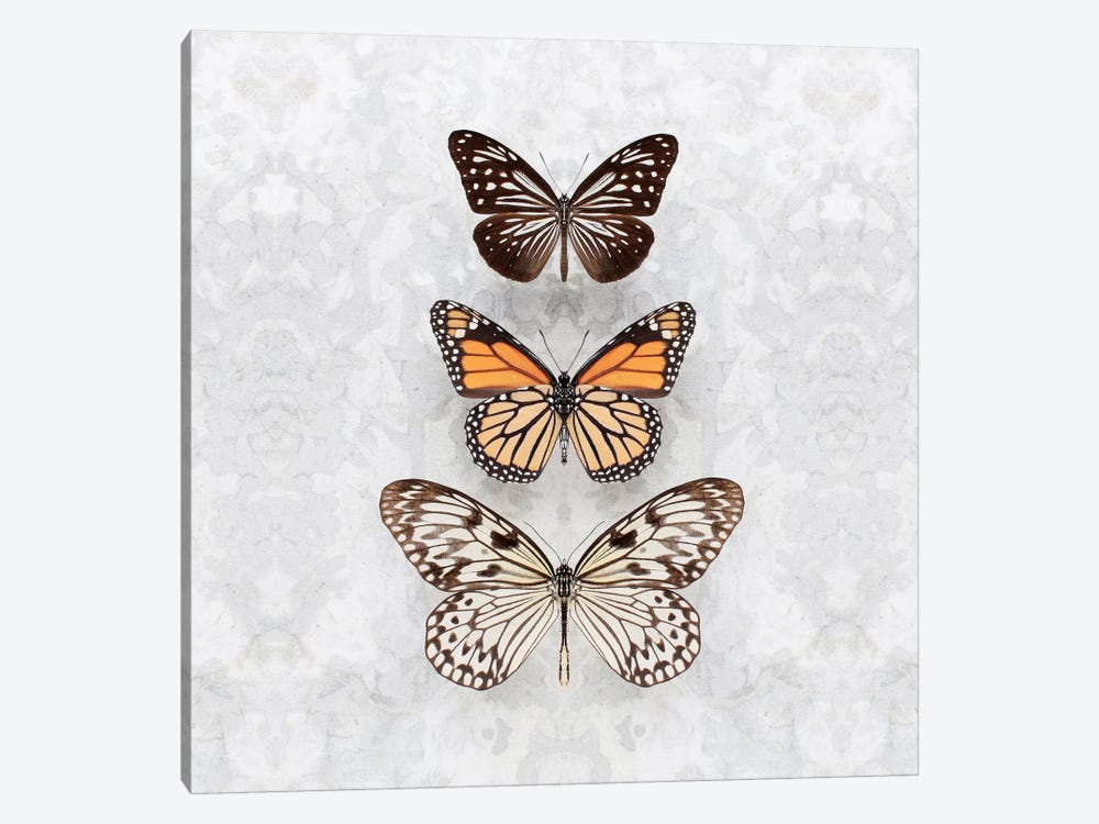 Three Speckled Butterflies by Alyson Fennell 1-piece Art Print