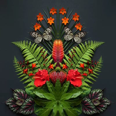 Tropical Flowers And Butterflies by Alyson Fennell acrylic art print