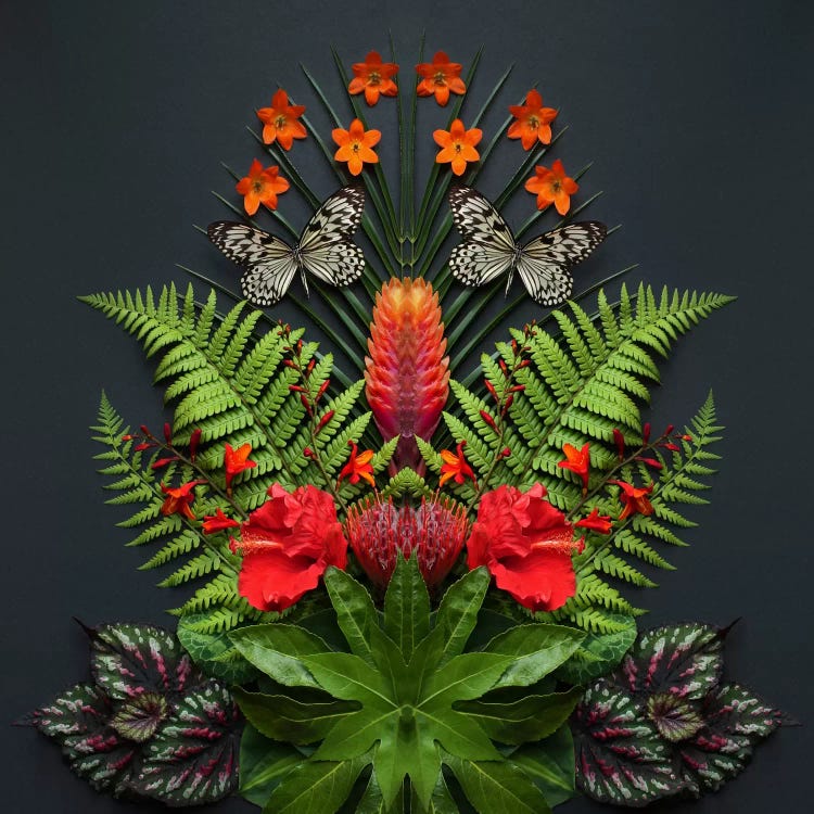 Tropical Flowers And Butterflies by Alyson Fennell wall art