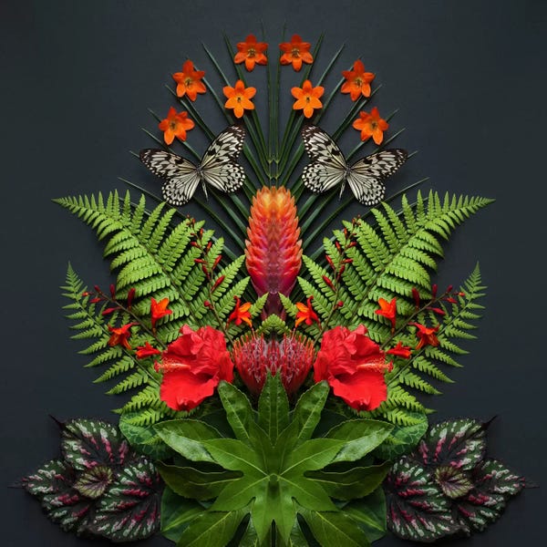 Tropical Flowers And Butterflies
