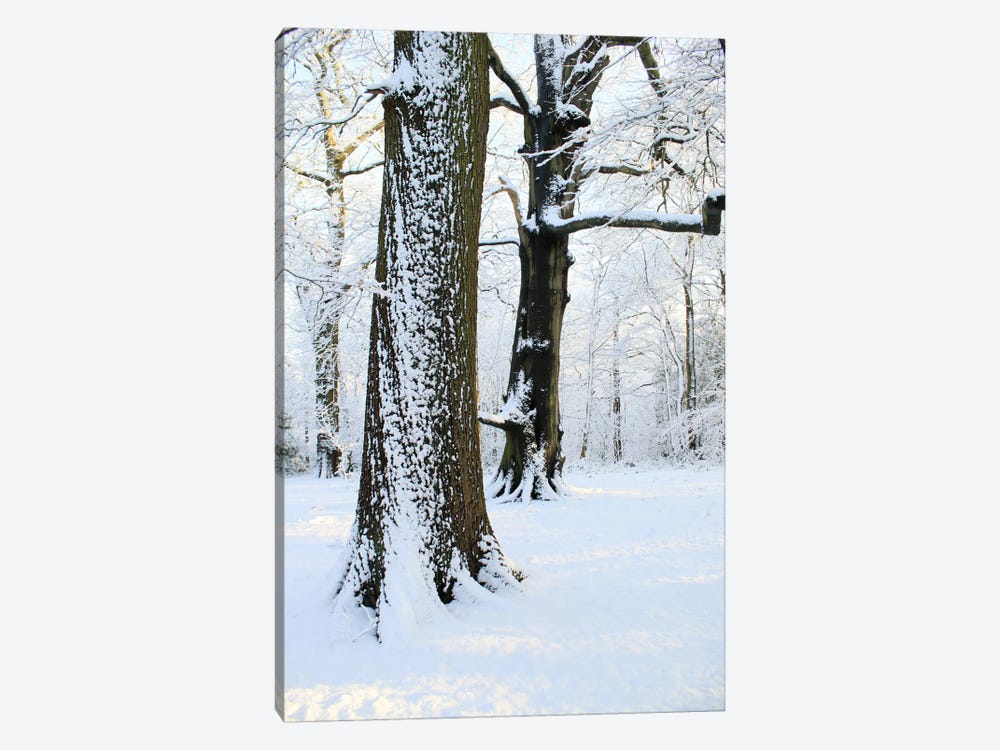 Two Snow Covered Trees by Alyson Fennell 1-piece Art Print