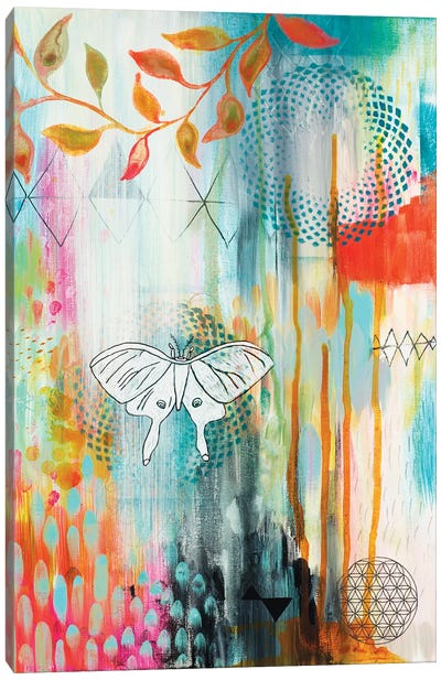 Spiro Butterfly Canvas Art Print - Faith Evans-Sills