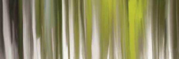 Abstract Graphic Design & Digital: Luminous Touch by 5by5collective