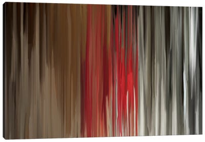 Object & Reality Canvas Art Print - Falls and Folds of Color