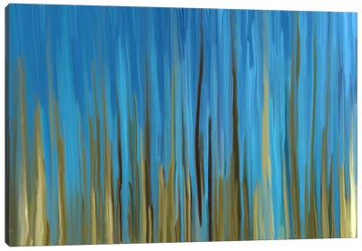 Quiet Oasis Canvas Art Print - Falls and Folds of Color