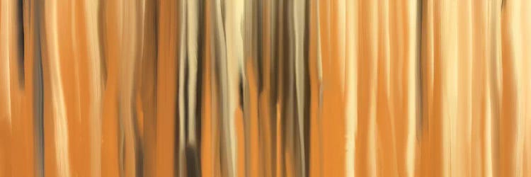 Sands of Time by 5by5collective canvas print