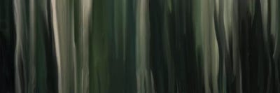 Sentimental Pine by 5by5collective canvas print