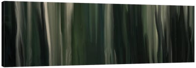 Sentimental Pine Canvas Art Print - Evergreen & Burlap