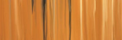 Shifting Sands by 5by5collective canvas print