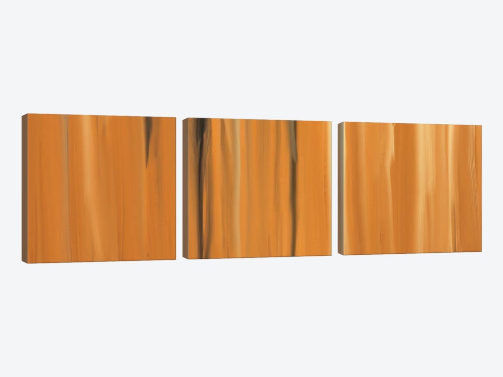 Shifting Sands by 5by5collective 3-piece Canvas Wall Art