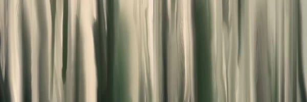 Industrial Office: Tender Grounds by 5by5collective