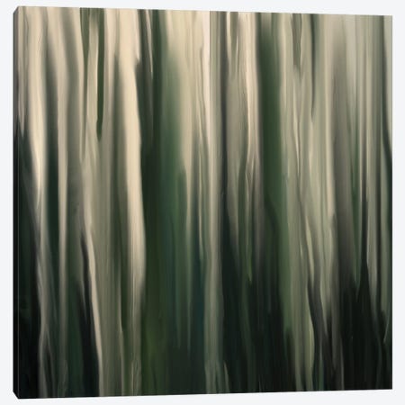 Greenwood Canvas Print #FFC8} by 5by5collective Canvas Artwork