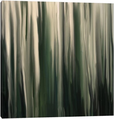 Greenwood Canvas Art Print - Falls and Folds of Color