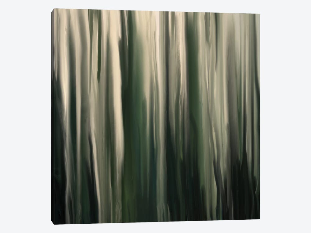 Greenwood by 5by5collective 1-piece Canvas Art