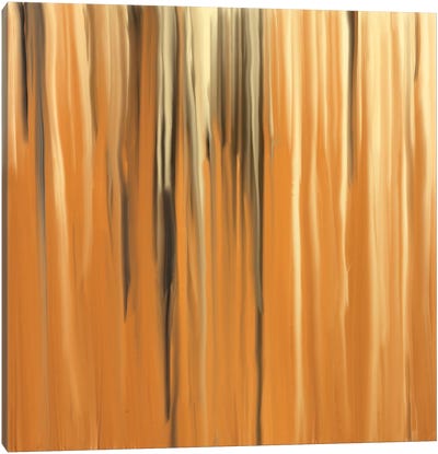 Kinetic Sands Canvas Art Print - Falls and Folds of Color