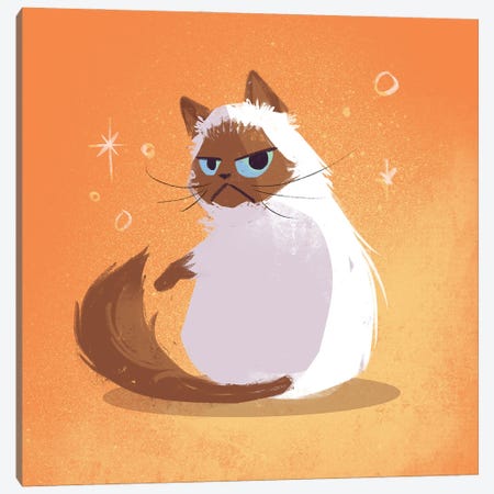 Grumpy Kitten Canvas Print #FFE15} by Ffion Evans Canvas Artwork