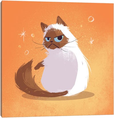 Grumpy Kitten Canvas Art Print - Kitten Art