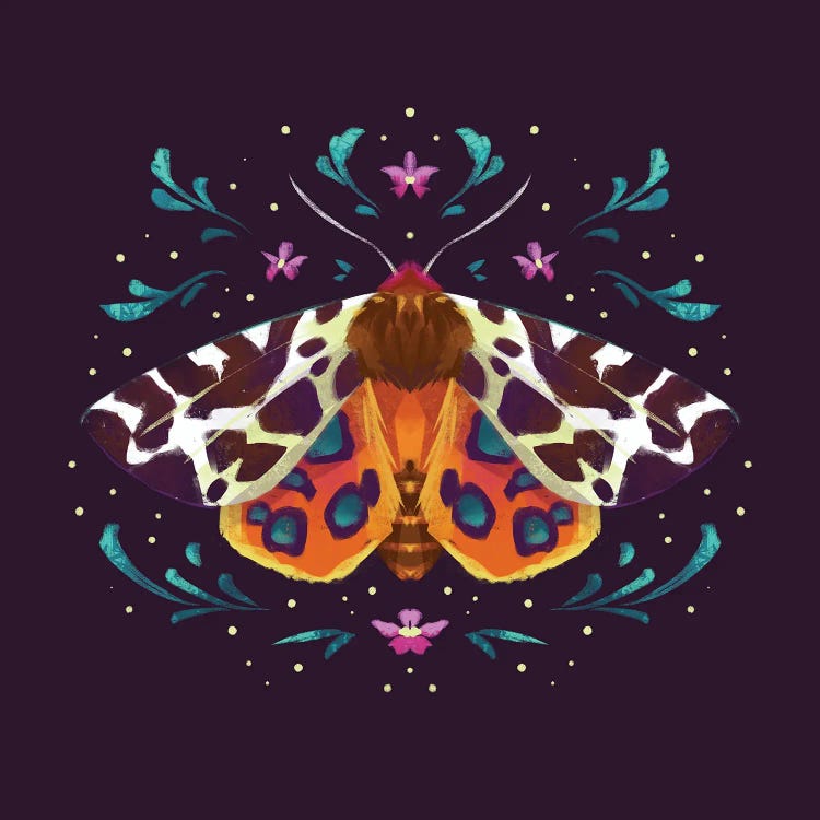 Jewel Moths - Tiger Moth