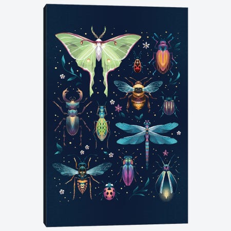 Jewel Bugs Collection Canvas Print #FFE27} by Ffion Evans Canvas Art Print