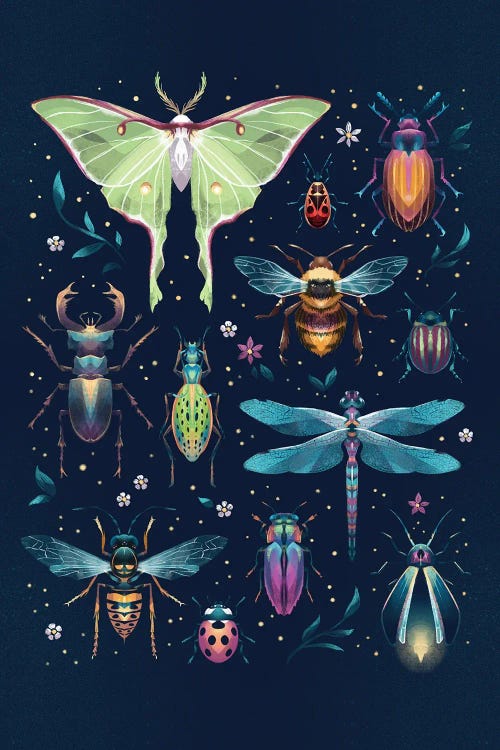 Jewel Bugs Collection