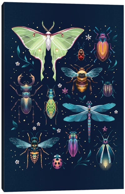 Jewel Bugs Collection Canvas Art Print - Ffion Evans