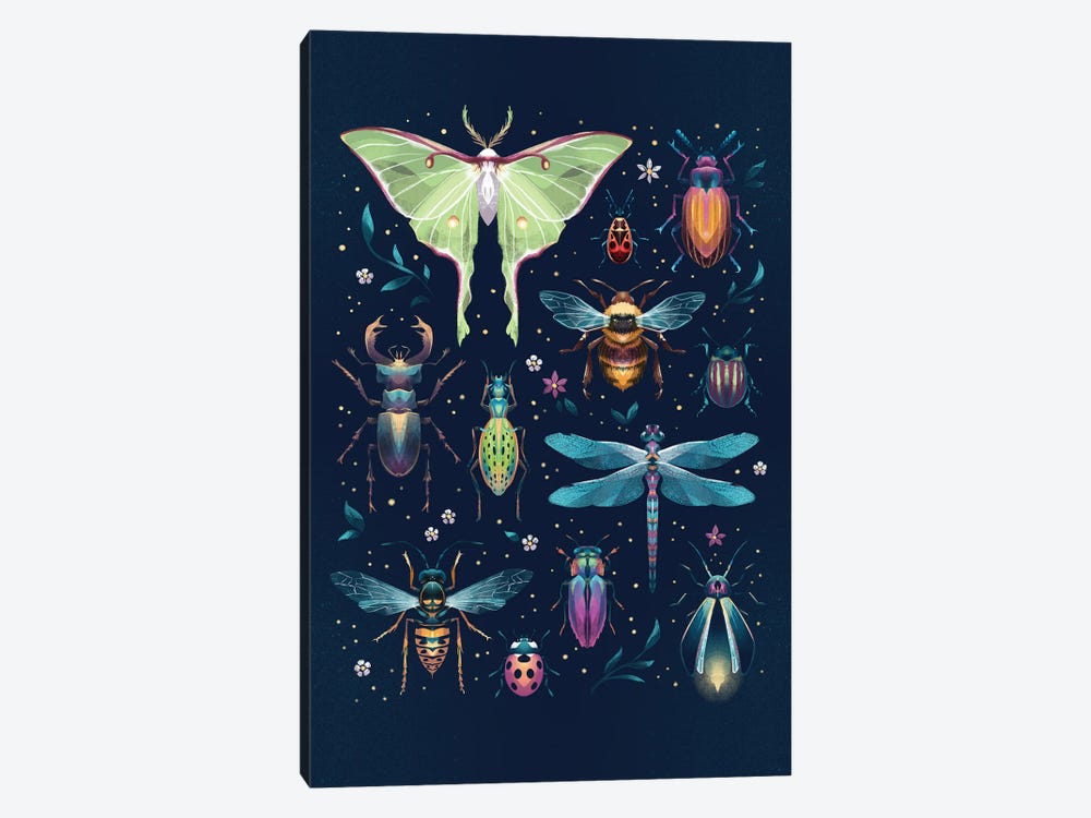 Jewel Bugs Collection by Ffion Evans 1-piece Canvas Print