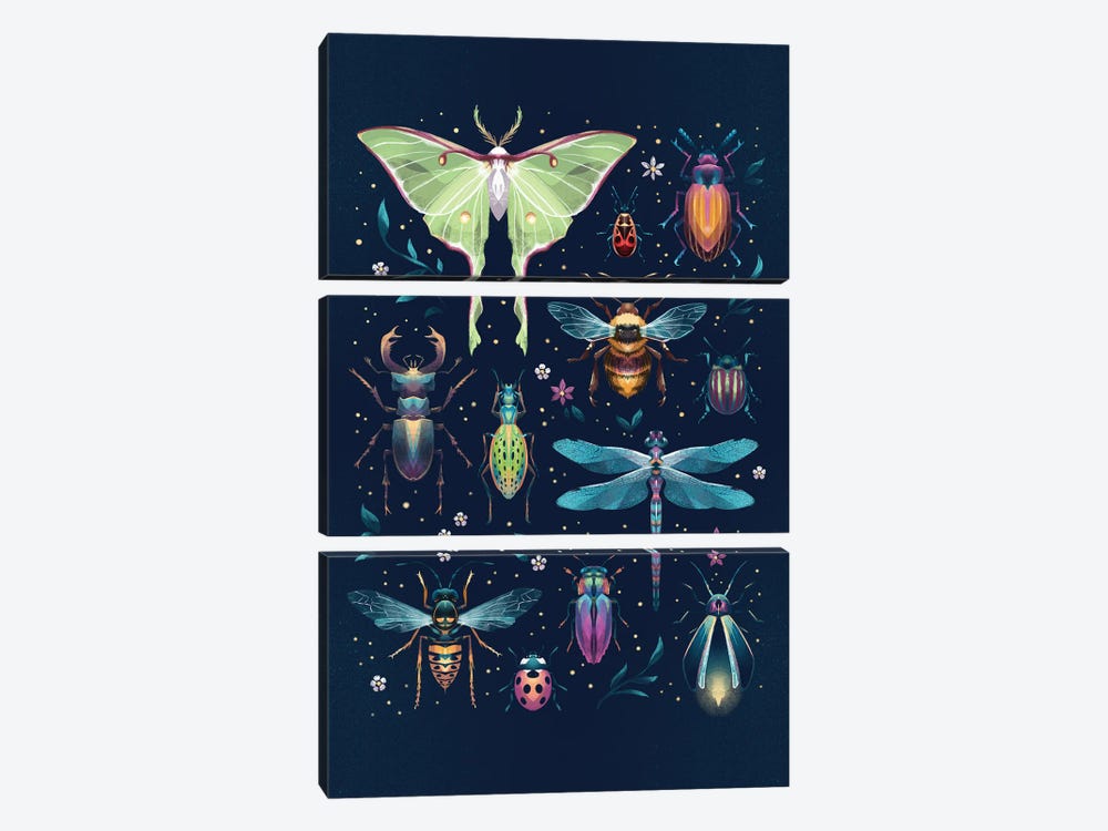 Jewel Bugs Collection by Ffion Evans 3-piece Canvas Art Print