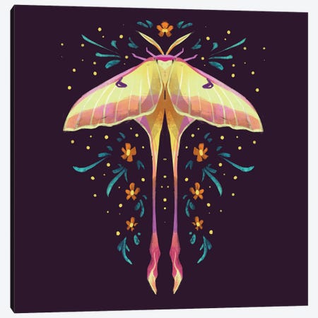 Jewel Moths - Chinese Lunar Moth Canvas Print #FFE28} by Ffion Evans Canvas Wall Art