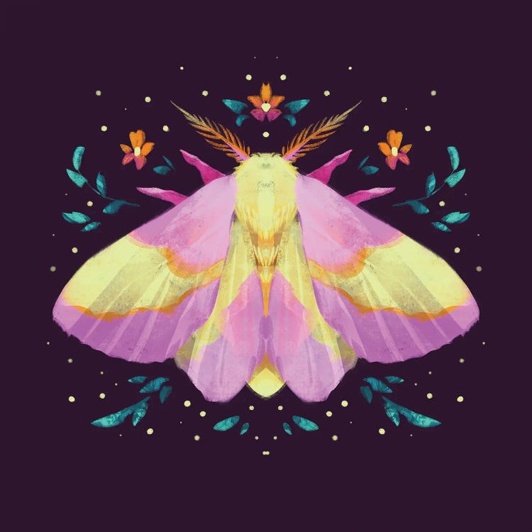 Jewel Moths - Rosy Maple Moth