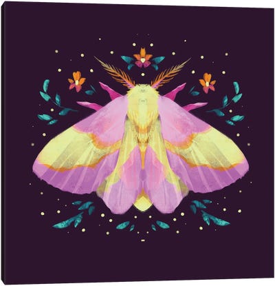 Jewel Moths - Rosy Maple Moth Canvas Art Print