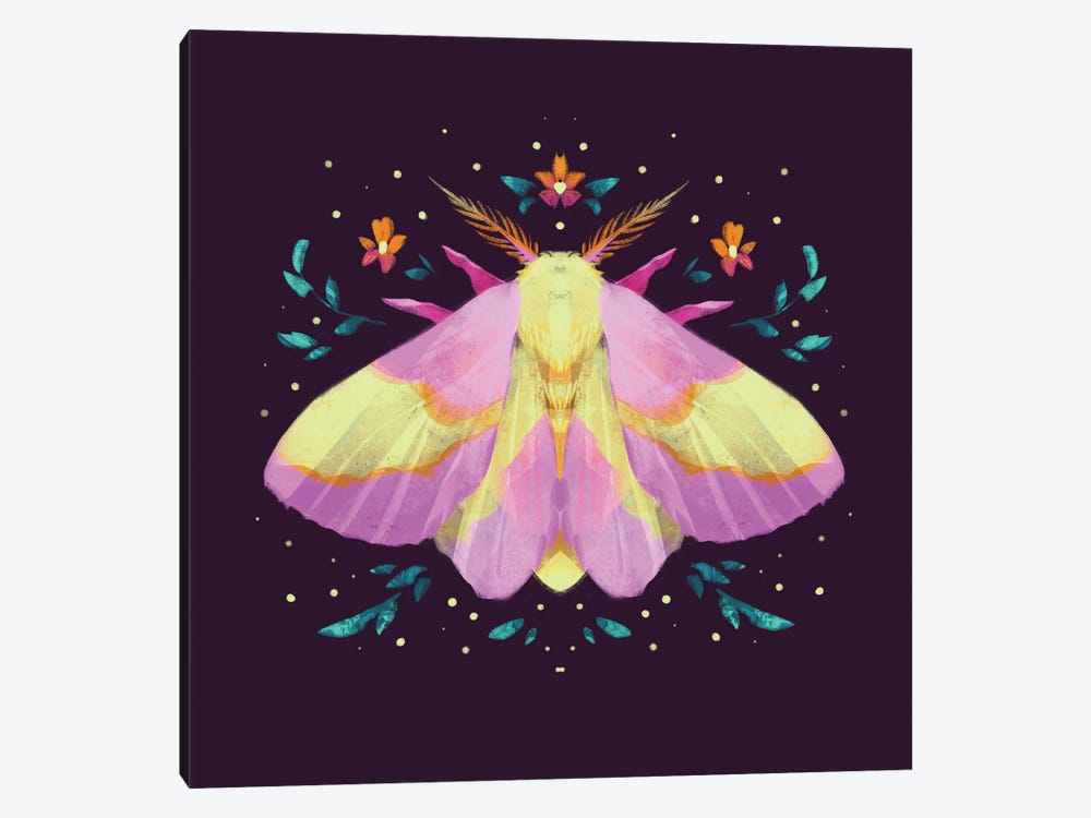 Jewel Moths - Rosy Maple Moth by Ffion Evans 1-piece Canvas Art Print