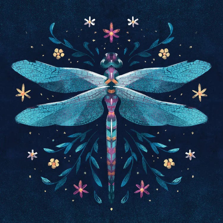 Jewel Dragonfly