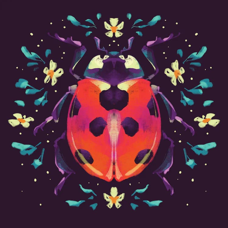 Jewel Ladybird II