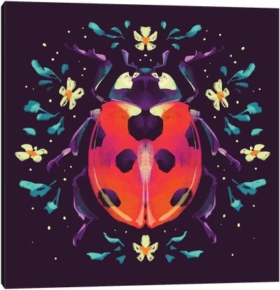 Jewel Ladybird II Canvas Art Print - Ladybug Art
