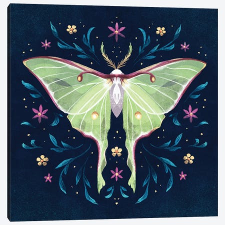 Jewel Luna Moth Canvas Print #FFE37} by Ffion Evans Canvas Wall Art
