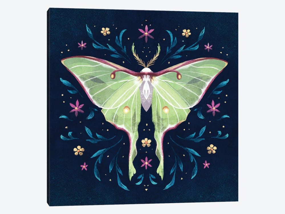 Jewel Luna Moth by Ffion Evans 1-piece Canvas Wall Art
