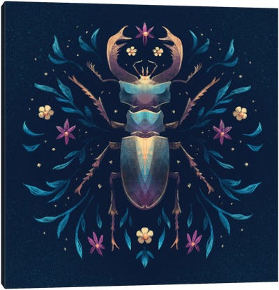 Jewel Stag Beetle Canvas Art Print - Ffion Evans