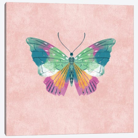 Rosy Butterfly Canvas Print #FFE40} by Ffion Evans Canvas Artwork