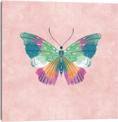 Rosy Butterfly Canvas Art Print - Ffion Evans
