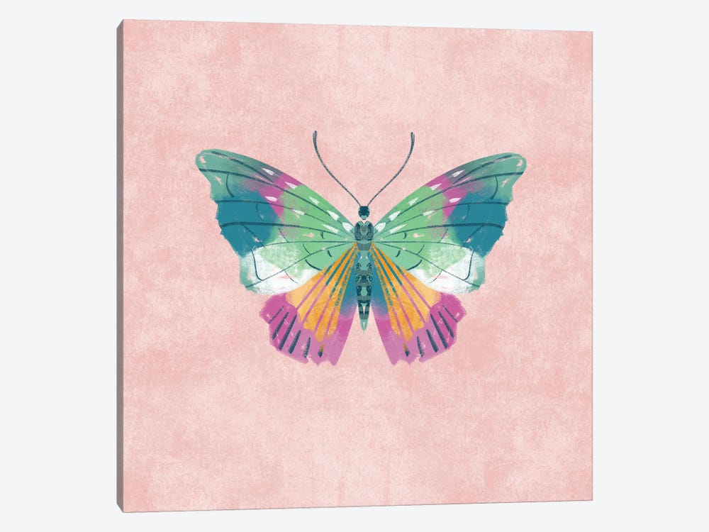 Rosy Butterfly by Ffion Evans 1-piece Canvas Art